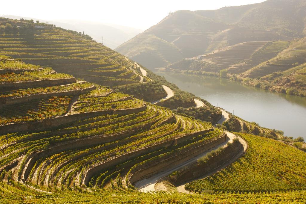 Camping Lamego Douro Valley Exterior photo