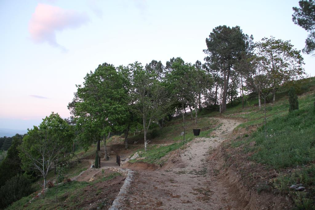 Camping Lamego Douro Valley Exterior photo