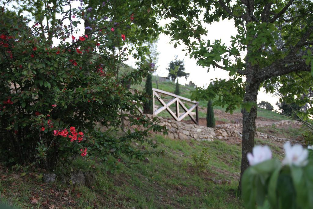 Camping Lamego Douro Valley Exterior photo