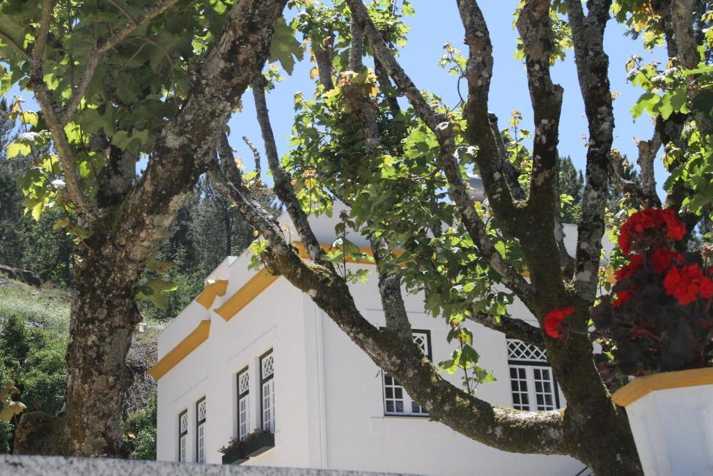 Camping Lamego Douro Valley Exterior photo